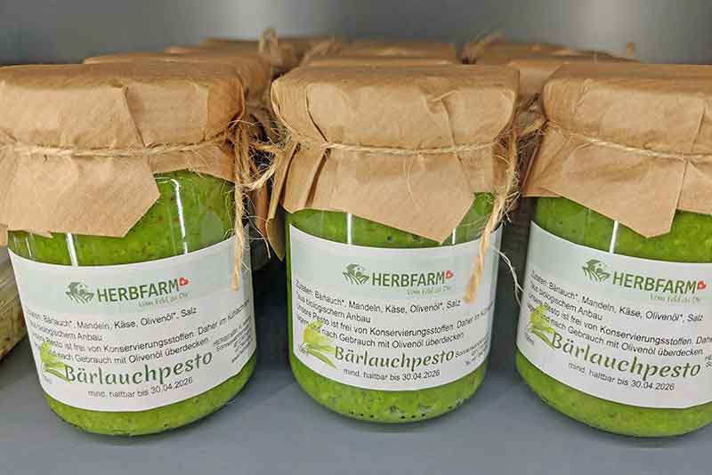 Bärlauchpesto