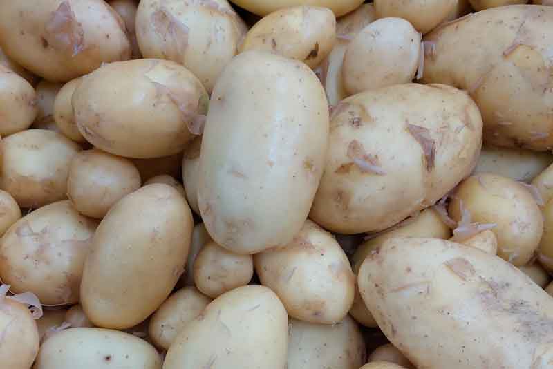 Frühkartoffeln
